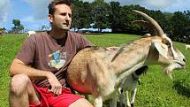 Martin Vlček založil s manželkou v roce 2012 ve Vizovicích kozí farmu.  Stádo v červenci 2020 čítá 113 koz. Vůdkyně stáda je Gizela.