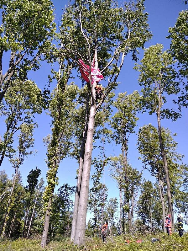 Bezmála sedmdesát hasičů, policistů a zdravotníků se ve čtvrtek 19. května 2022 zapojilo do cvičení zaměřeného na pátrání po pohřešovaných. V lesích u Zašové a Krhové na Valašsku hledali dva zraněné paraglidisty.