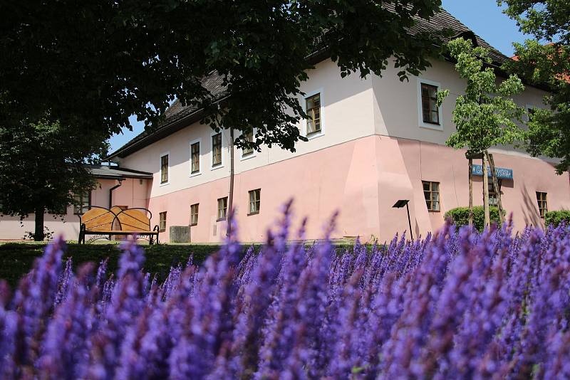 Stará radnice a lavička Huberta Gessnera.