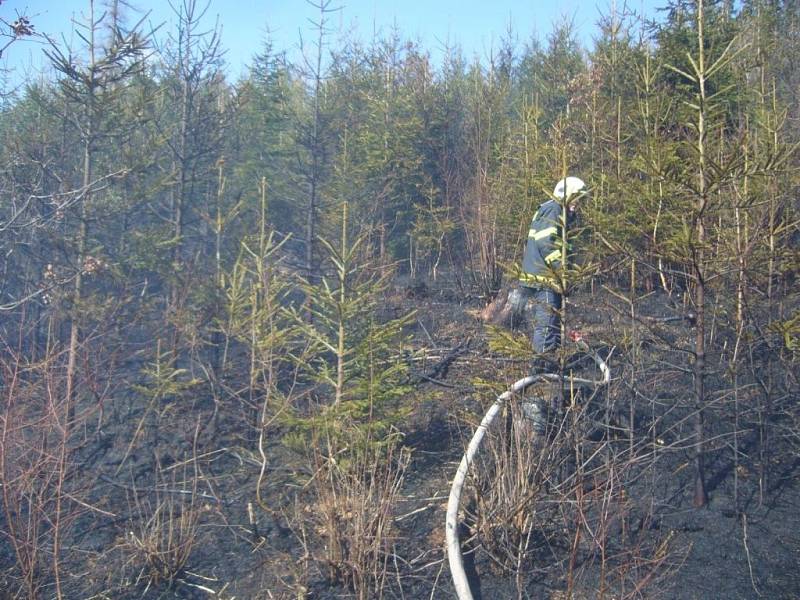 Požár lesního porostu v Hošťálkové.