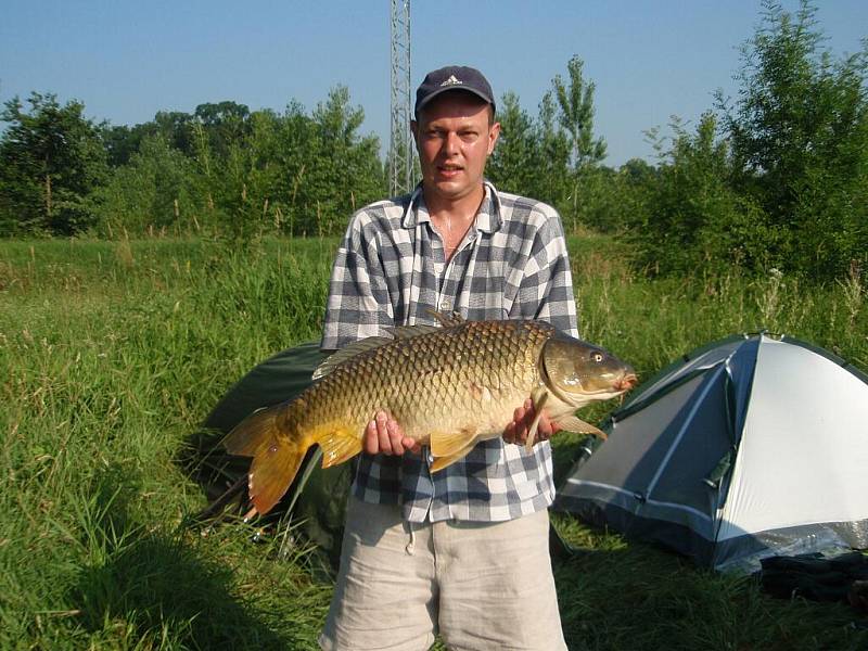 Vítěz 7. kola: Michal Žůrek, Vsetín, kapr o délce 89 cm a váze 11 kilogramů. Uloven na Dyji u Břeclavi.