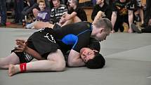 II. ročník ADCC Valachien Cupu v zápase označovaném jako grappling, submission wrestling či brazilské jiu jitsu; Sportovní hala v Janové, sobota 12. března 2016