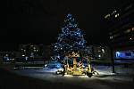 Vánoční strom ve Vsetíně. Ilustrační foto z r. 2022