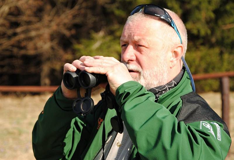 Jaromír Navrátil je členem Stráže přírody. O Velikonocích dohlédne, aby lidé neničili kvetoucí kriticky ohrožený šafrán bělokvětý na Vsetínsku a Valašskokloboucku.