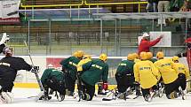 Hokejisté Vsetína zahájili v pondělí 24. července 2017 tréninky na ledě na stadionu Na Lapači.