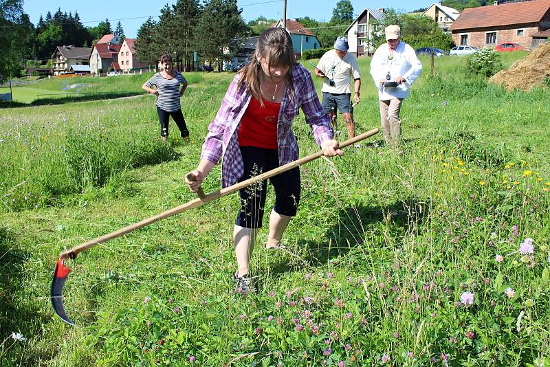 Při sečení rozhoduje kvalita, styl a také ustrojení. Soutěží se v kategoriích chlapi, robky a děcka.