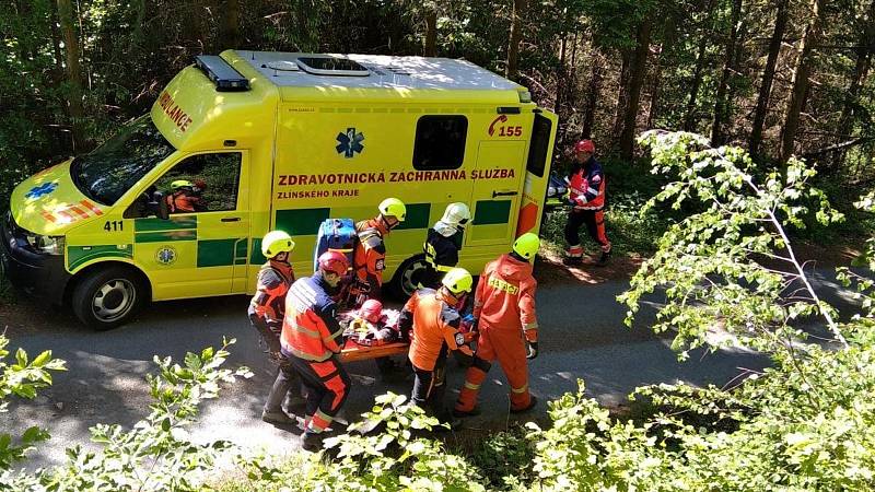 Cvičení složek IZS zaměřené na pátrání po pohřešovaných.