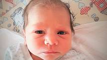 Dustin Dužda, Valašské Meziříčí, narozen 9. ledna 2021 ve Valašském Meziříčí, míra 48 cm, váha 2780 g