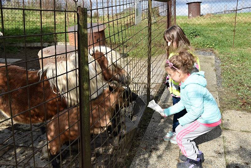 Minizoo s názvem Fauna park - Dětský ráj na Štěpánově ve Valašském Meziříčí je o 1. října 2019 znovu otevřené. Je přístupné zdarma a k vidění je zde na dvacet druhů zvířat.