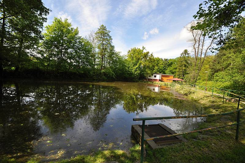 K braneckému zámku přiléhá rozlehlý a pravidelně udržovaný zámecký park. Jeho součástí je i venkovní amfiteátr, rybník a od roku 2020 i nové dětské hřiště.