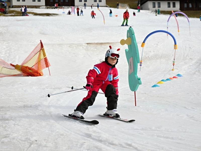 Druhým kolem pokračoval v neděli na sjezdovce Horal ve Velkých Karlovicích letošní ročník seriálu závodů O pohár nejrychlejšího ty­gra.