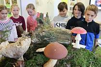 Na zámcích Lešná a Vsetín začaly 5. října 2021 tradiční výstavy živých hub. Jejich součástí jsou také lektorské programy pro školy.