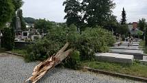 Strom na vsetínském hřbitově pokácený během bouřky silným větrem