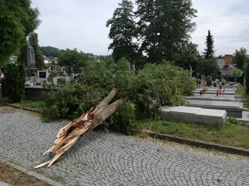 Strom na vsetínském hřbitově pokácený během bouřky silným větrem