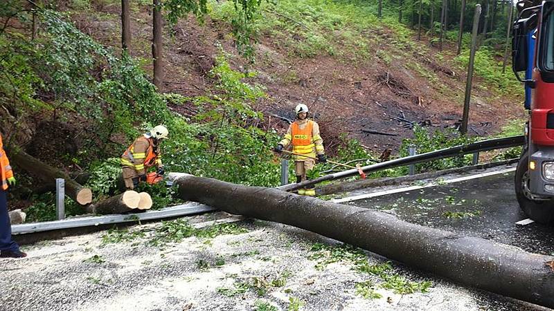 Dobrovolní hasiči z Chvalčova likvidují v pátek 19. června 2020 strom, který po pádu zatarasil silnici.