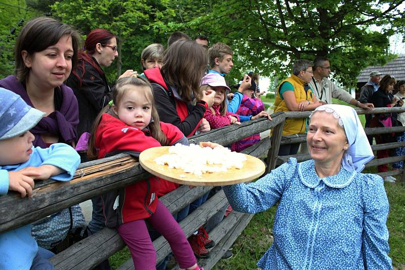 Slavnostní výhon ovcí na salaš s ukázkami tradičního života na dědině byl k vidění v sobotu 20. května ve Valašské dědině Valašského muzea v přírodě v Rožnově pod Radhoštěm. Stovky návštěvníků zaujaly činnosti spjaté s chovem ovcí a další bohatý program.