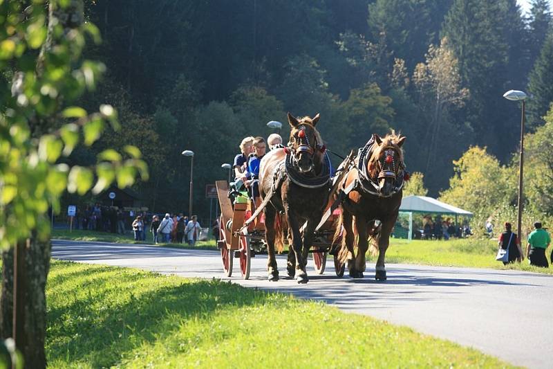 Karlovský gastrofestival. Koňský povoz.