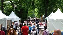 Garden Food Festival 2019 v rožnovském parku.