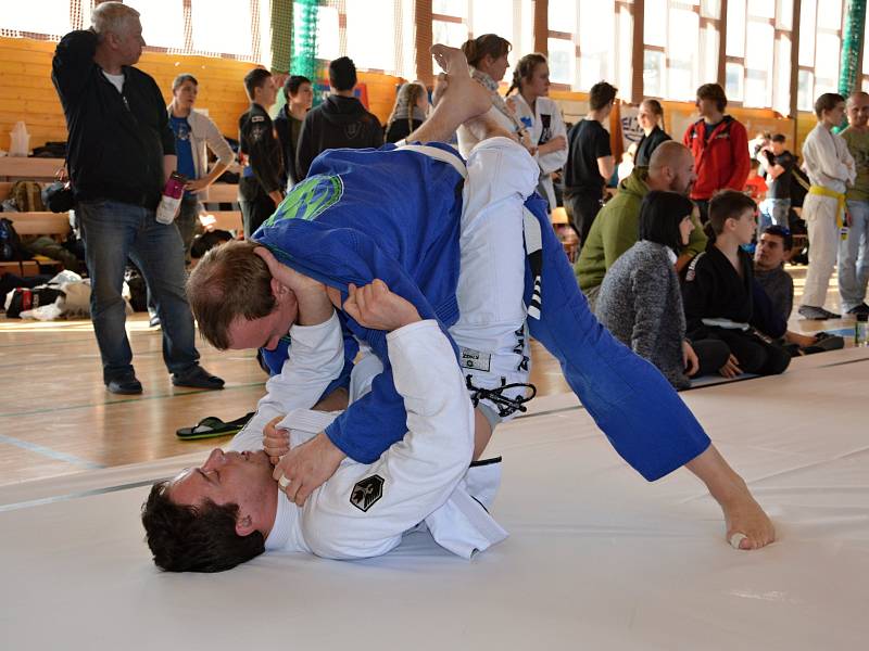 V sobotu pořádal místní oddíl Copacabana Valachien Gym mezinárodní závody v brazilském jiu jitsu ve sportovní hale Na Lapači.