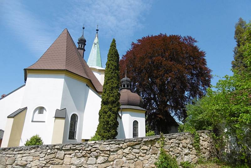 Červenolistý buk lesní u kostela svatého Archanděla Michaela v Lešné u Valašského Meziříčí.