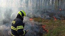 U Valašského Meziříčí hořela louka a mladý les. Příčinou byl špatně uhašený oheň, který rozfoukal vítr. 30. března 2024