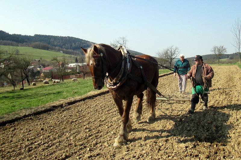 Pořad pro děti Od zrníčka ke chlebíčku začal ve Francově Lhotě tradičně setím obilí. 