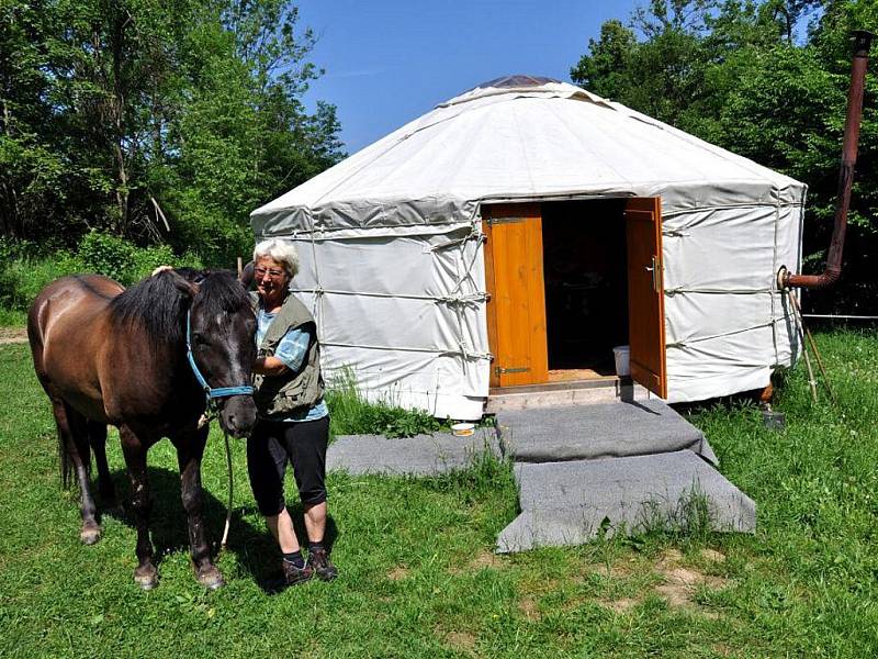 Hucul Club ve Francově Lhotě letos oslavil už dvacet let svého fungování