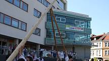 Vsetíňané postavili v sobotu před Masarykovou veřejnou knihovnou májku