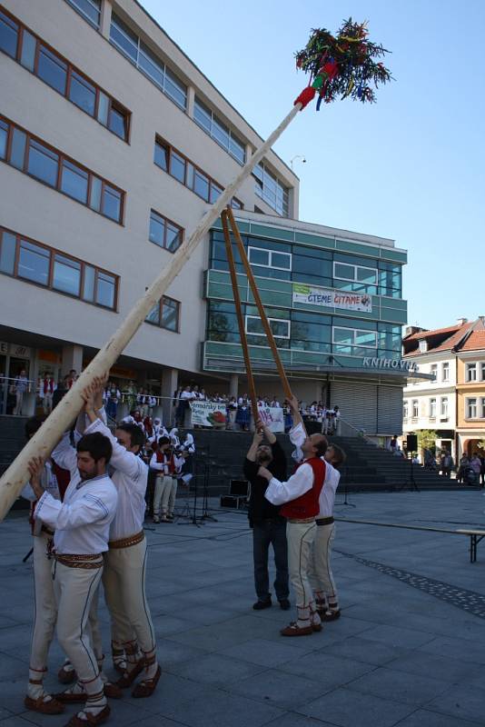 Vsetíňané postavili v sobotu před Masarykovou veřejnou knihovnou májku