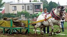 Ve Valašském Meziříčí v Podlesí se konala kvalifikace na Mistrovství světa chladnokrevných koní.