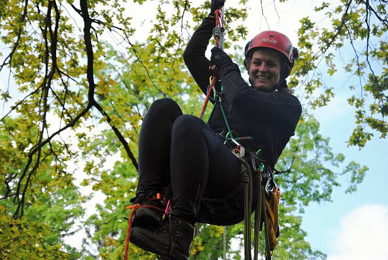 Halina Lisztwan z třinecké radnice zkouší v pátek 17. května 2019 v zámeckém parku v Lešné u Valašského Meziříčí pod vedením zkušených arboristů horolezecké vybavení a výstup do koruny stromu.