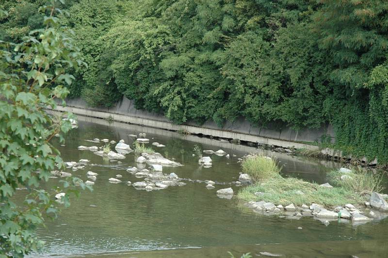 Z nedostateku vody ve Vsetínské Bečvě obviňuje veřejnost i rybáři vodohospodáře, kteří prý v minulých letech provedli nevhodnou regulaci.