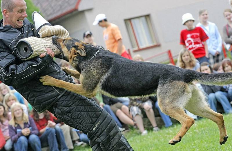 Celé dopoledne se žákům ZŠ Wolkerova věnovali policisté, strážníci městské policie a také hasiči. Děti je za to odměnily svým zájmem, zvídavostí a nakonec i spokojeným úsměvem.