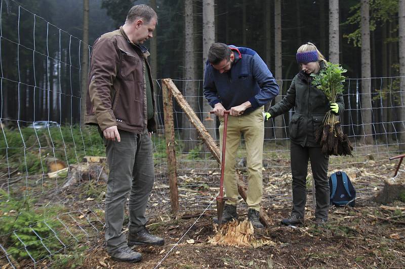 Studenti a zaměstnanci Fakulty lesnické a dřevařské ČZU se zapojili do obnovy lesů u Štoků.