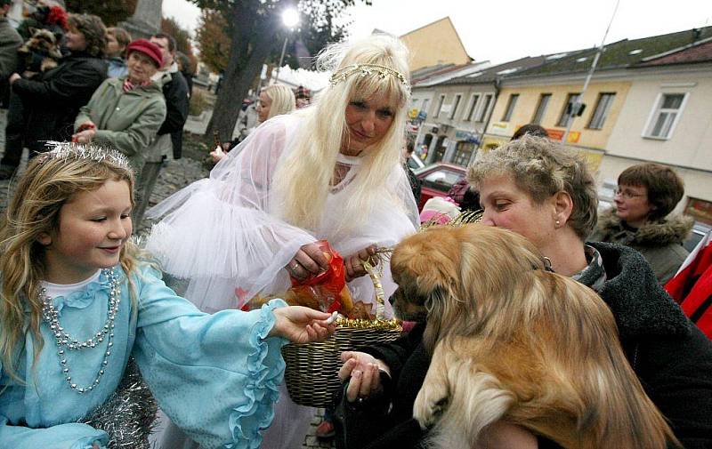 V psí knize hříchů měl Mikuláš zapsané všchno, co malí i velcí pejskové udělali dobrého i špatného. Podle toho si pak pro ně přišel anděl s dobrotami v košíku, anebo hrůzu nahánějící čert, který jim strkal hlavu do pytle a chtěl si je odnést do pekla. 