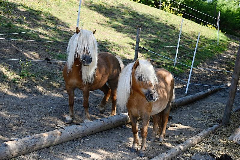 Lidé mířící za agroturistikou najdou ve Věcově u Kadeřávků pravou vesnickou idylku.