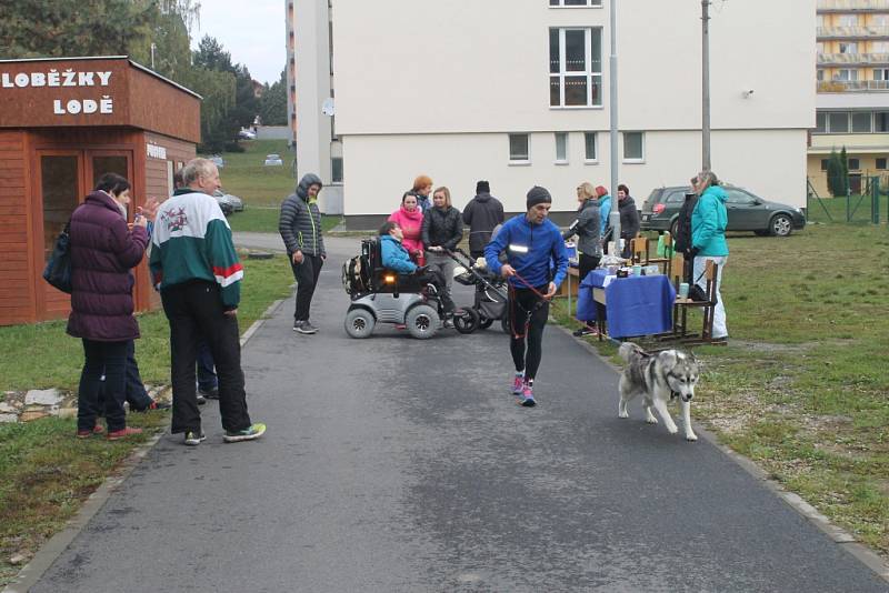 Momentky ze sobotního Běhu pro Vaška ve Světlé nad Sázavou.