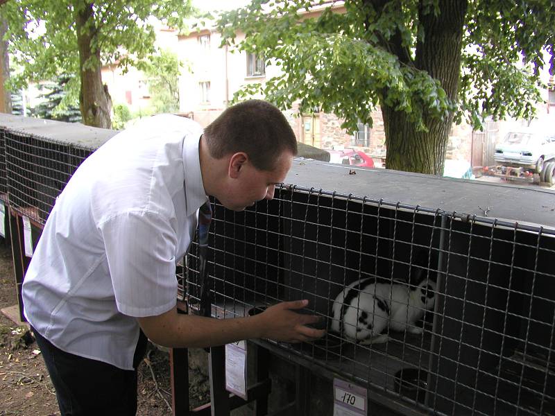 Přehlídka úspěchů chovatelů patří už léta k přibyslavské pouti.