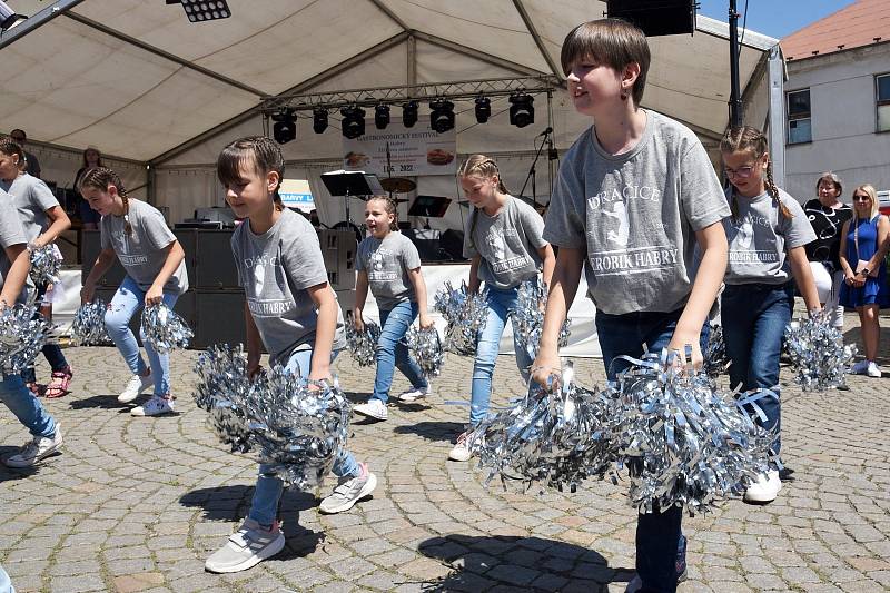 Gastronomický festival v Habrech