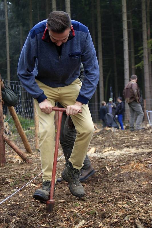 Studenti a zaměstnanci Fakulty lesnické a dřevařské ČZU se zapojili do obnovy lesů u Štoků.