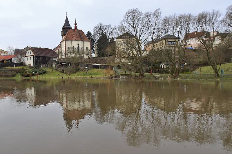 Rozvodněná Sázava ve Světlé nad Sázavou - 5. února 2021.