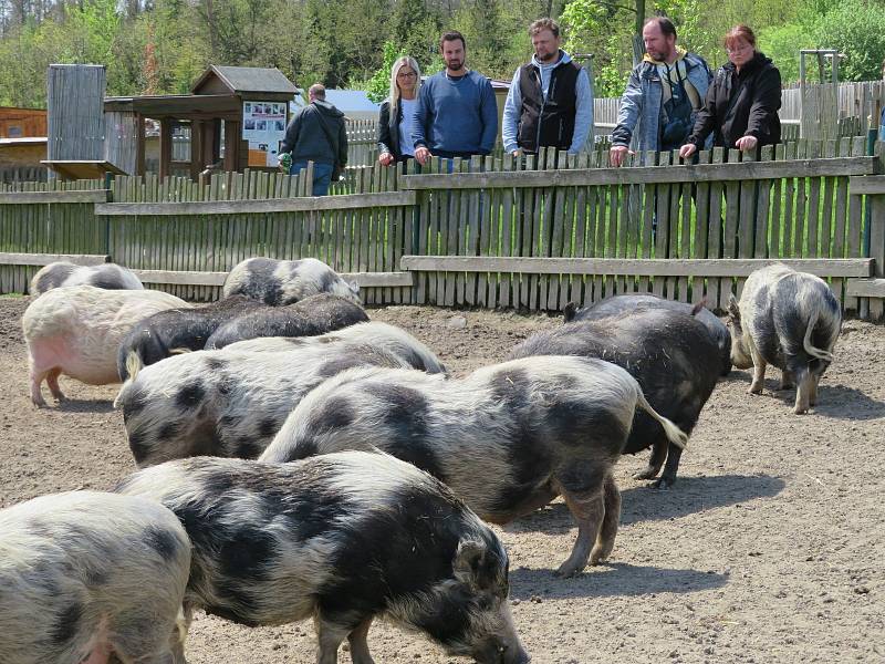 Táborská zoologická zahrada po nucené koronavirové pauze zažívá boom návštěvníků.