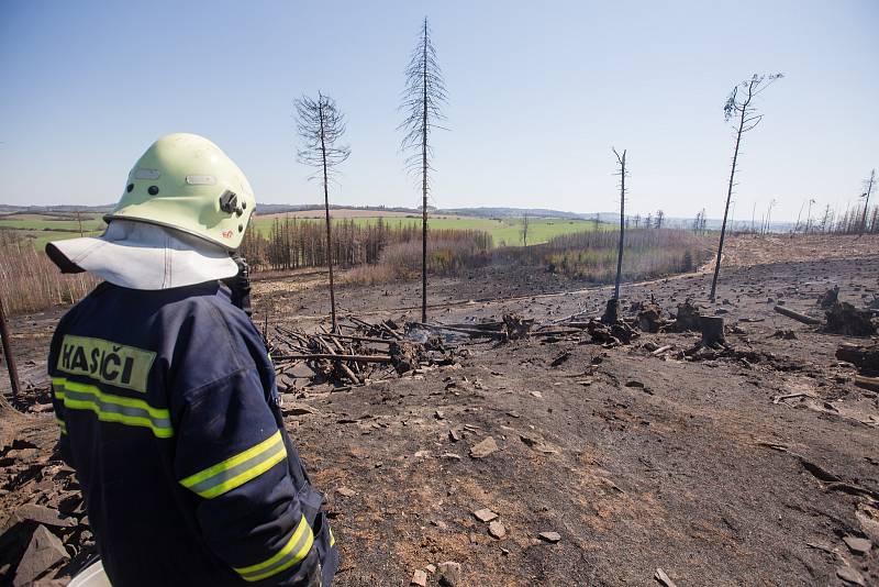 Dubnové požáry na Vysočině. Les po požáru u Kamenice na Jihlavsku.