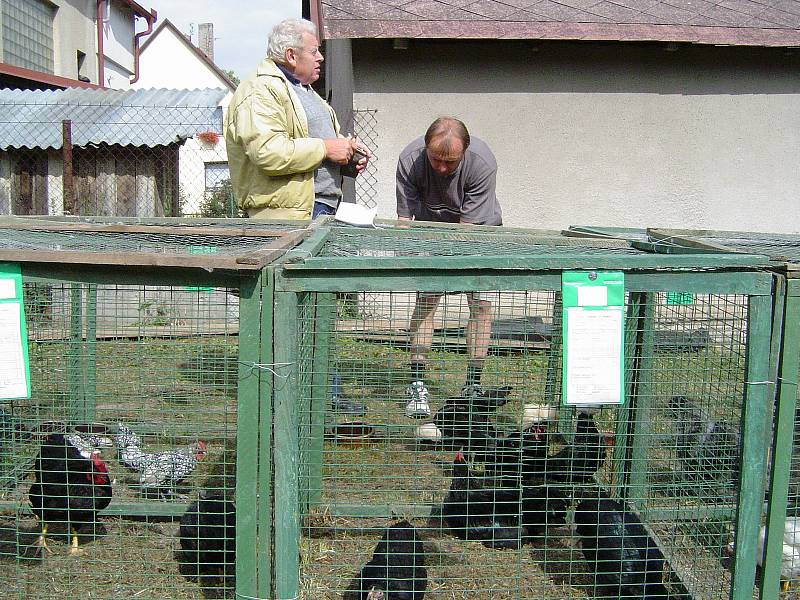 Chovatelé v Leštině mají vlastní klubovnu a pozemek, kde pořádají vyhlášené výstavy.