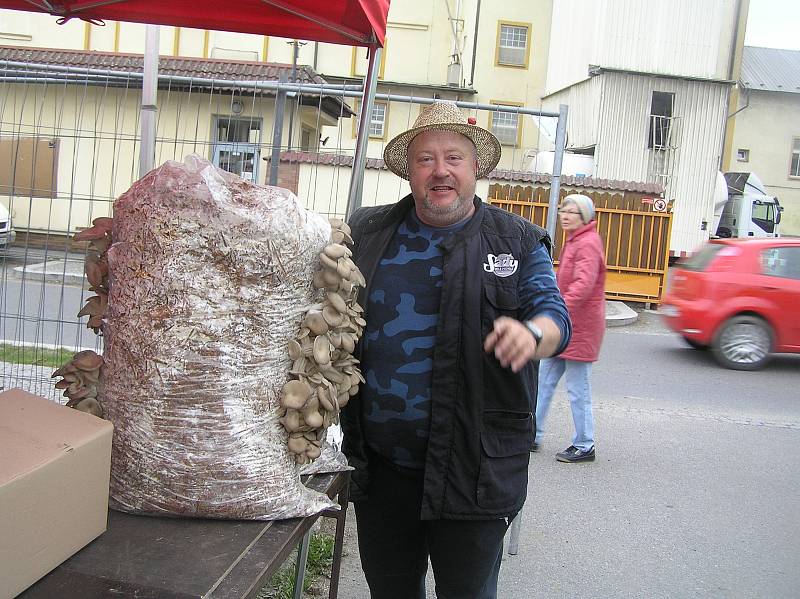 Výstava Zahrada, svátek zlatých českých ručiček, trvá v areálu KD Ostrov tři dny