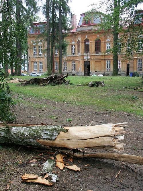 Po bouřce zůstaly na silnicích Havlíčkobrodská desítky popadaných stromů, které bránily průjezdu.