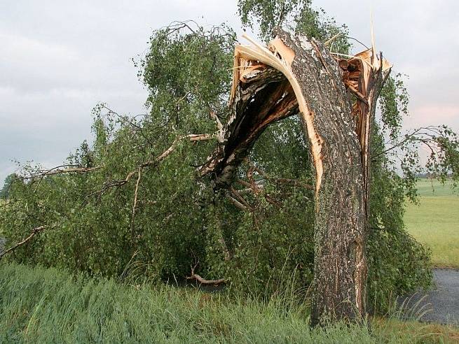 Po bouřce zůstaly na silnicích Havlíčkobrodská desítky popadaných stromů, které bránily průjezdu.