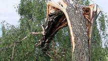 Po bouřce zůstaly na silnicích Havlíčkobrodská desítky popadaných stromů, které bránily průjezdu.