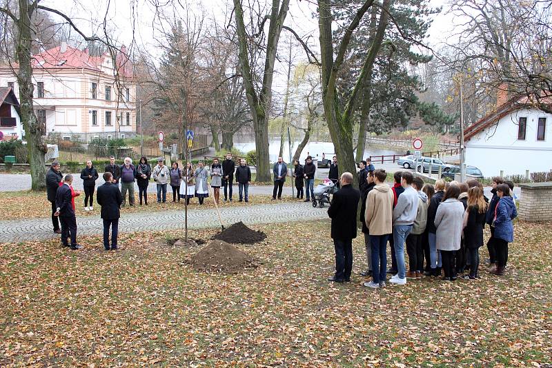 Zástupci havlíčkobrodského gymnázia, gymnázia ze slovenské Spišské Nové Vsi a města Havlíčkův Brod vysadili strom republiky.