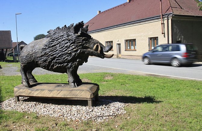 Vepřík z Vepříkova je spíš rozpustilý divočák